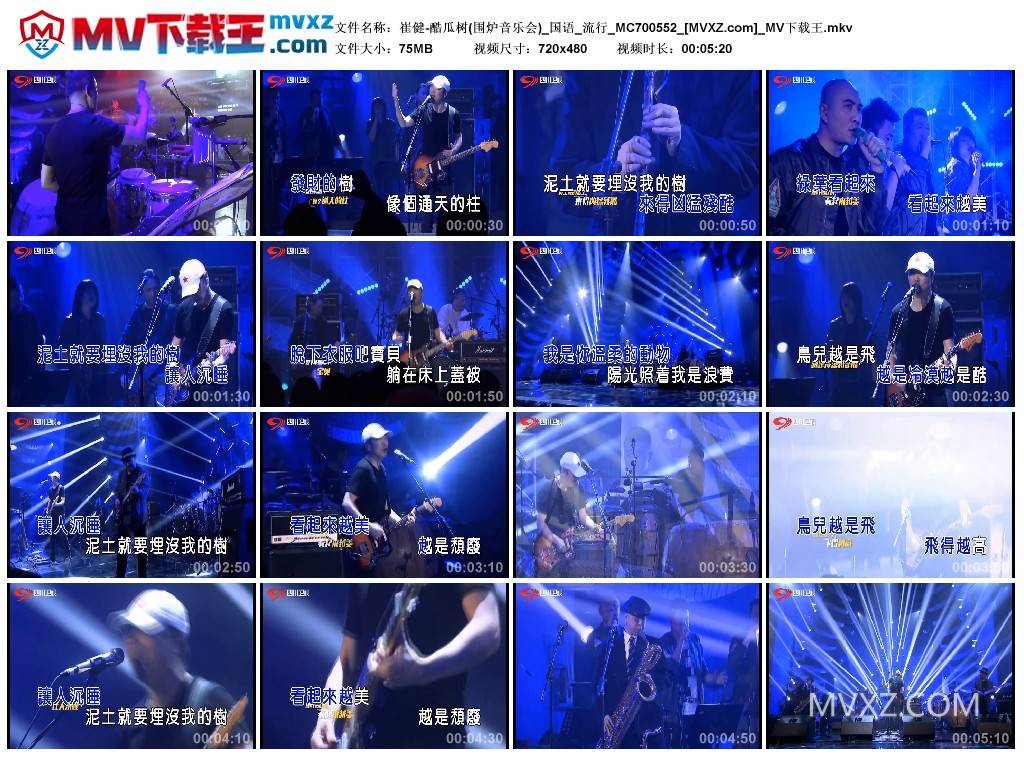 崔健-酷瓜树(围炉音乐会)_国语_流行_MC700552